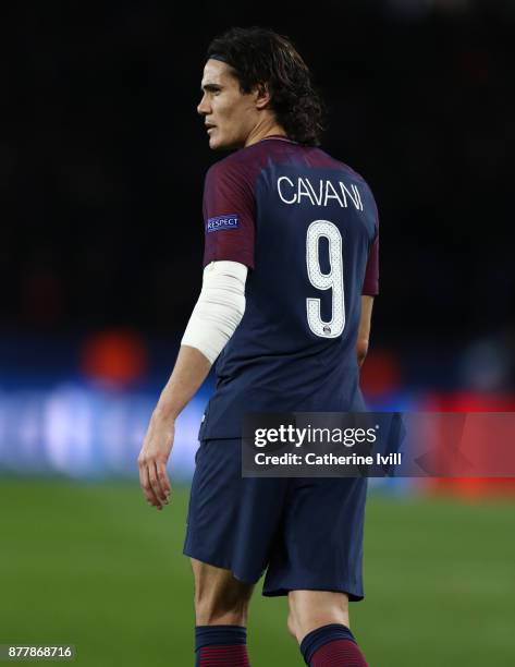 Edinson Cavani of PSG during the UEFA Champions League group B match between Paris Saint-Germain and Celtic FC at Parc des Princes on November 22,...