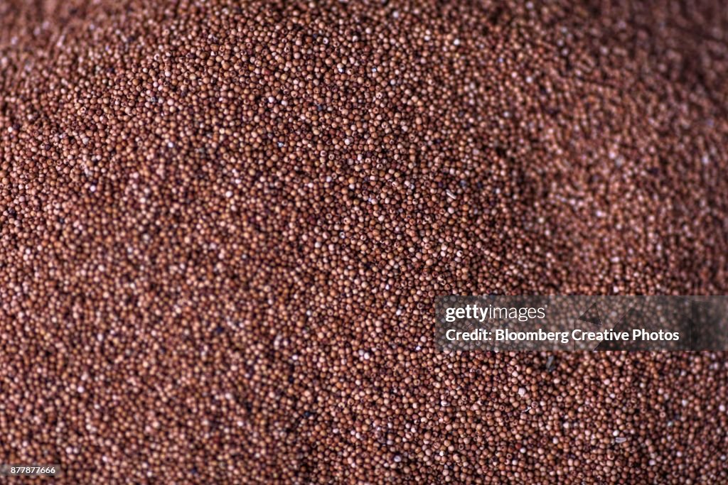 Millet is displayed at a wholesale market in India