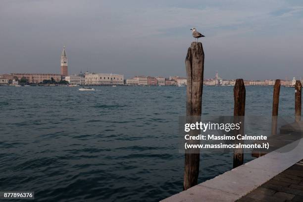 the bell tower of san marco and the doge's palace - canale della giudecca stock pictures, royalty-free photos & images