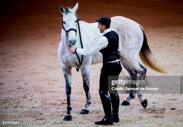 Opening exhibition during Madrid Horse Week 2017 on November 23, 2017 in Madrid, Spain.