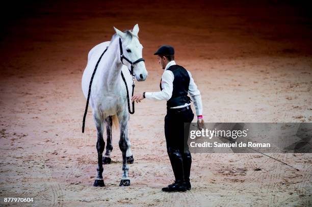 Opening exhibition during Madrid Horse Week 2017 on November 23, 2017 in Madrid, Spain.