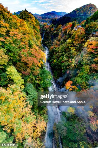 japan autumn scenery - akita stock pictures, royalty-free photos & images