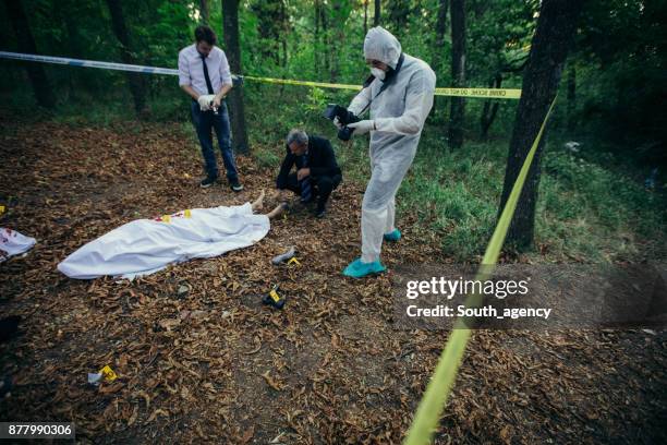 escena del crimen en la naturaleza - asesino fotografías e imágenes de stock