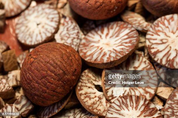detail of betel nut (areca nut), near nyanchaydock, sagaing, myanmar - areca nut stockfoto's en -beelden
