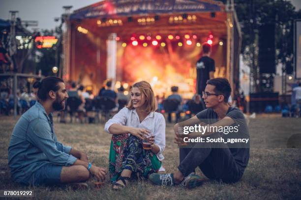 cheerful crowd at music festival - music festival grass stock pictures, royalty-free photos & images