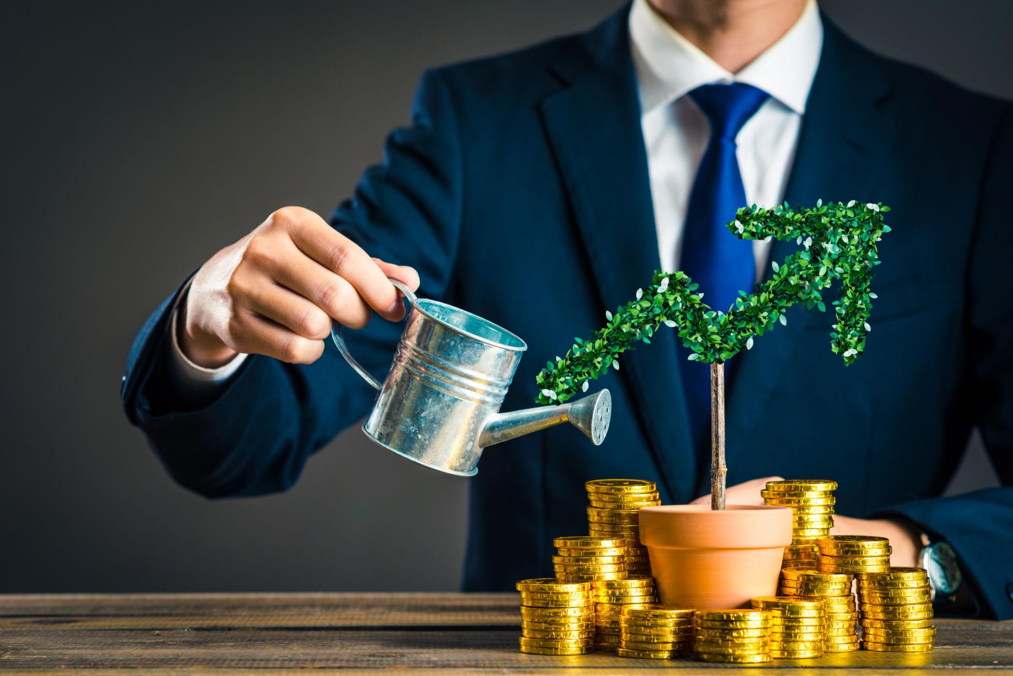 career investment