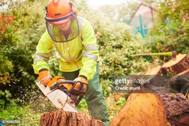 female tree surgeon - chainsaw stock pictures, royalty-free photos & images