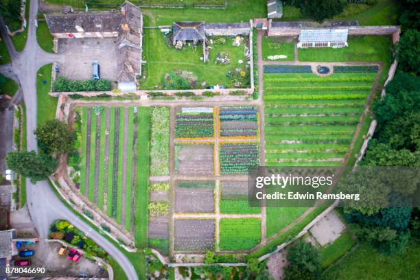 walled garden - scorton stock pictures, royalty-free photos & images