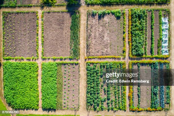Farning Plot Farming Plots Fotografías e imágenes de stock - Getty Images