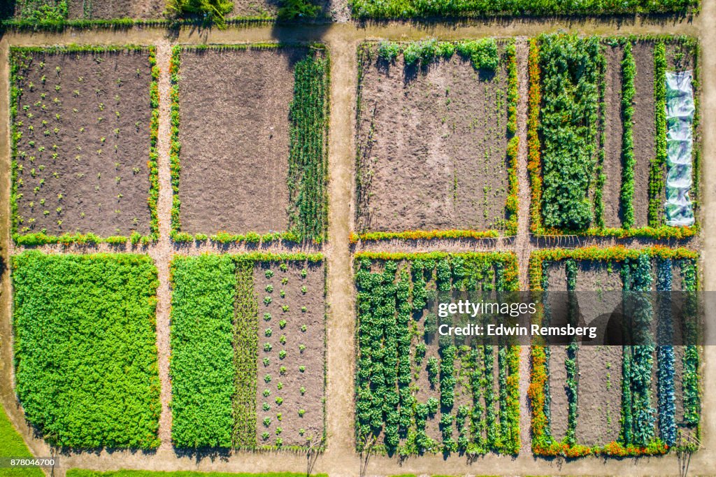 Graden Plot With Thread Garden Plots High-Res Stock Photo - Getty Images