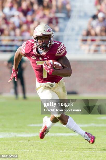 Florida State Seminoles running back Ryan Green runs the ball during the game between the Delaware State Hornets and the Florida State Seminoles at...