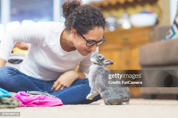 la gioia di vivere con gli animali domestici - coniglio foto e immagini stock
