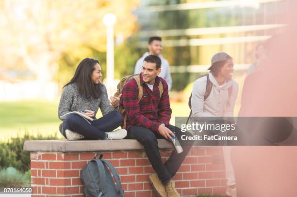 college students hang out in between classes and study on the grass - consistent learning stock pictures, royalty-free photos & images