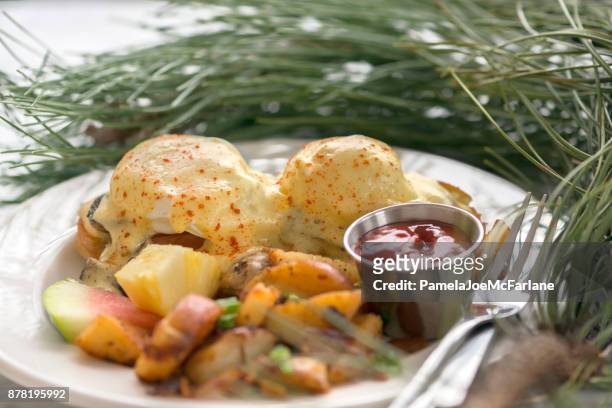 weihnachtsfrühstück, eggs benedict, yam und kartoffelecken, frisches obst - christmas brunch stock-fotos und bilder