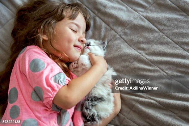 ragazza felice che abbraccia il suo gattino persiano. - kid holding cat foto e immagini stock