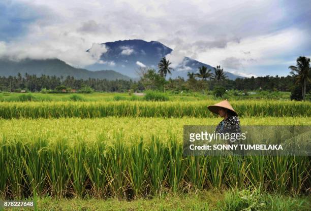 Farmer works in a field as Mt. Agung volano looms in the background in the Rendang sub-district of Karangasem Regency on Indonesia's resort island of...