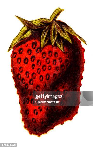 strawberry sketch - jam drip stock illustrations