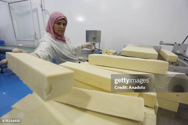 Palestinian entrepreneur Ihlas Savalihe, 46-year-old, works at her factory 'Palestinian House of Soap SIBA' in Jericho, West Bank on November 24,...