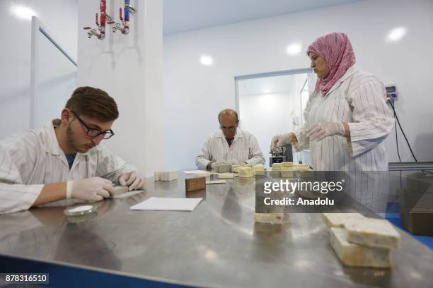 Employees work at the Palestinian House of Soap SIBA' founded by Palestinian entrepreneur Ihlas Savalih in Jericho, West Bank on November 24, 2017....