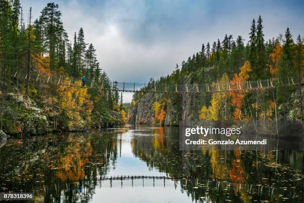 hossa national park in finland - finland stockfoto's en -beelden