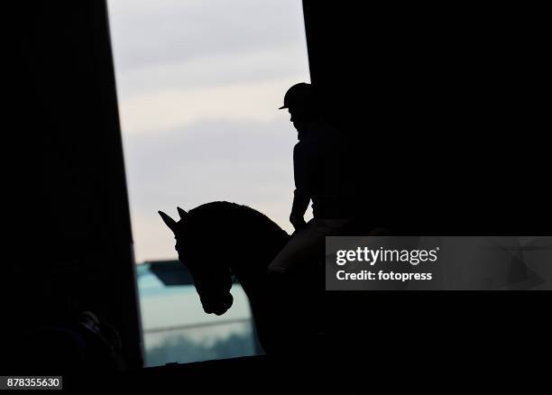 Rider on his horse during the Madrid Horse Week 2017 at IFEMA on November 23, 2017 in Madrid, Spain.