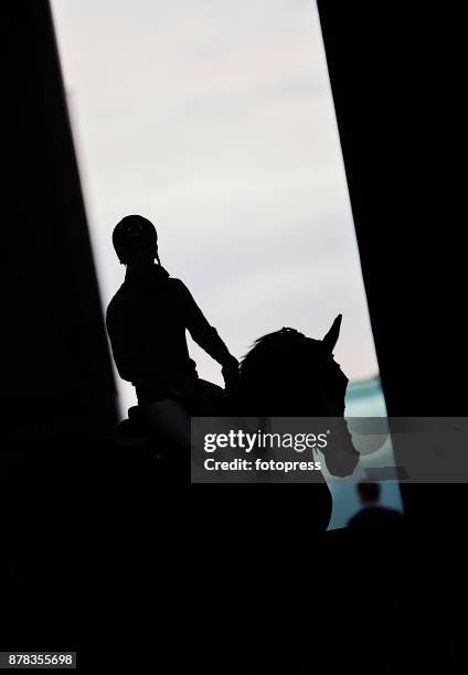 Rider on his horse during the Madrid Horse Week 2017 at IFEMA on November 23, 2017 in Madrid, Spain.
