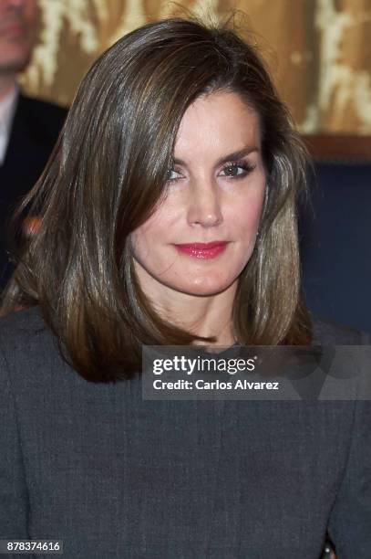 Queen Letizia of Spain attends a meeting at the National Library on November 24, 2017 in Madrid, Spain.