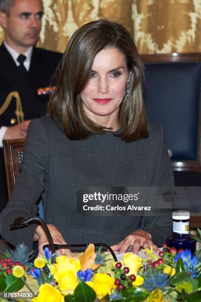 Queen Letizia of Spain attends a meeting at the National Library on November 24, 2017 in Madrid, Spain.