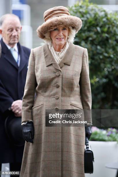Camilla, Duchess of Cornwall attends the Prince's Countryside Fund Raceday at Ascot Racecourse on November 24, 2017 in Ascot, England.