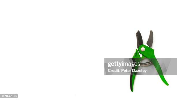 green garden secateurs on white background. - pruning shears stock pictures, royalty-free photos & images