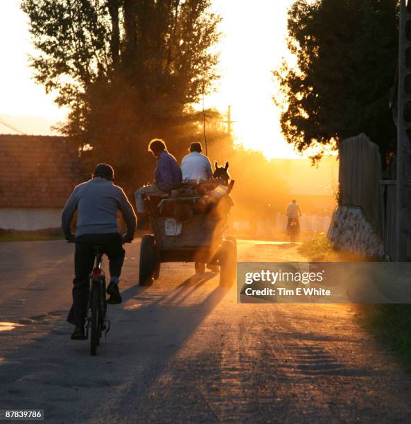 romanian farmers at sunset - romania stock pictures, royalty-free photos & images