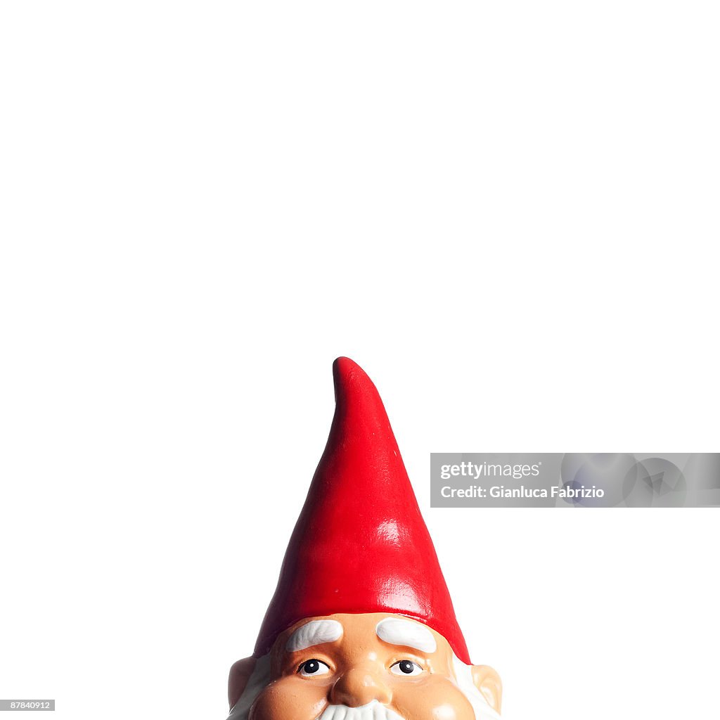 Garden Gnome