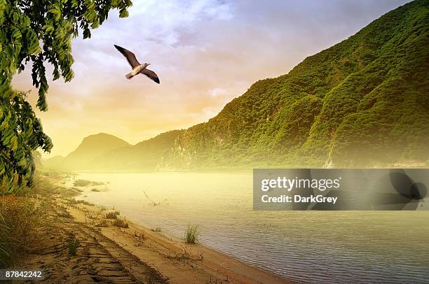 Ilocos Rivers 848 Ilocos Region Stock Photos, High-Res Pictures, and Images - Getty ...