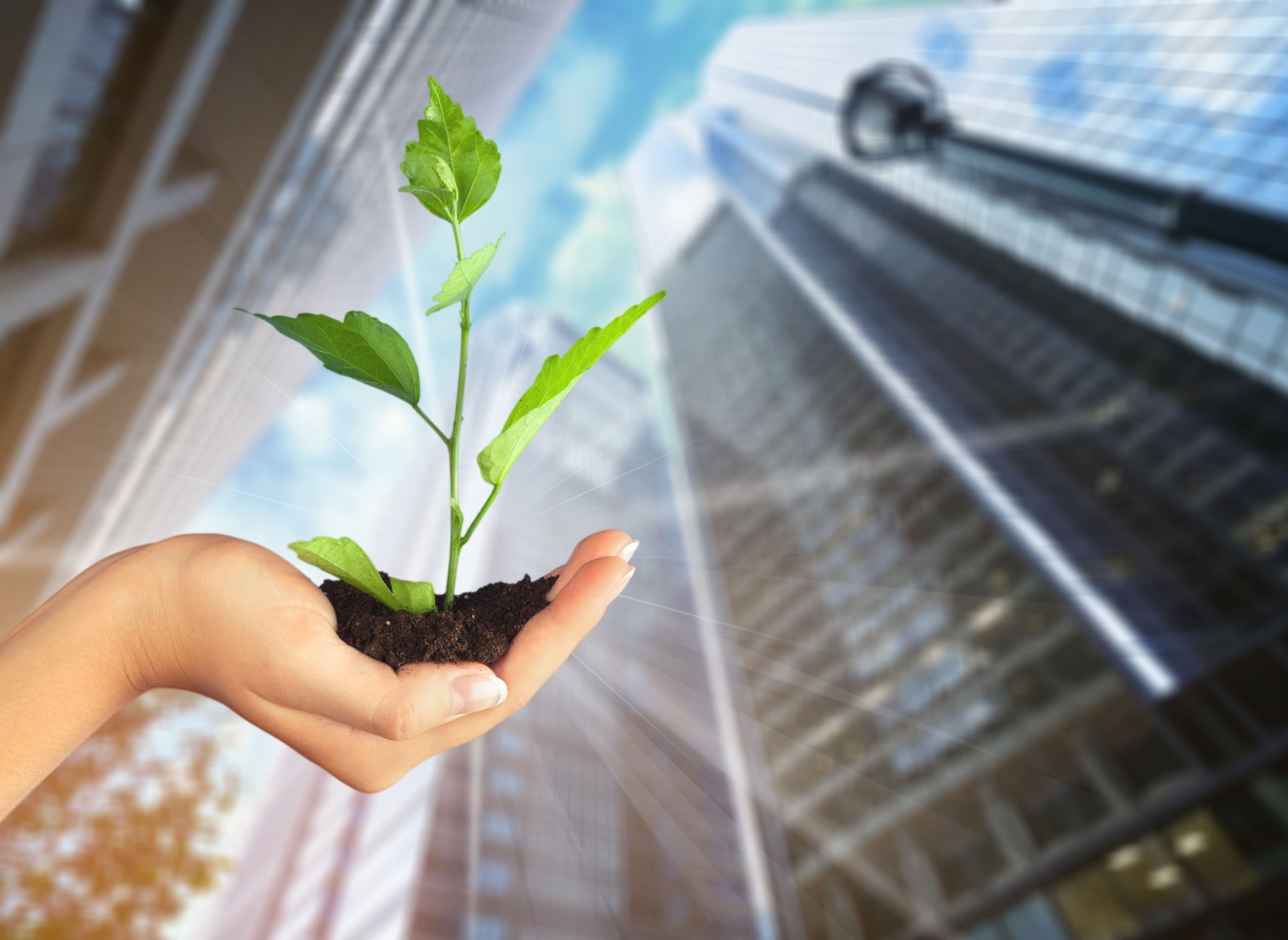 entreprise croissance