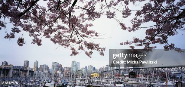 view of marina and downtown vancouver, bc - vancouver bridge stock pictures, royalty-free photos & images