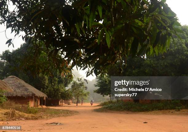 west african road in lush tropical vegetation - guinee bissau stockfoto's en -beelden