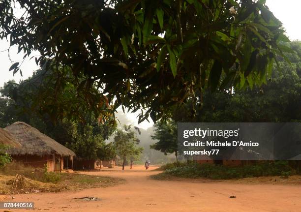 west african road in lush tropical vegetation - guinea bissau stock pictures, royalty-free photos & images