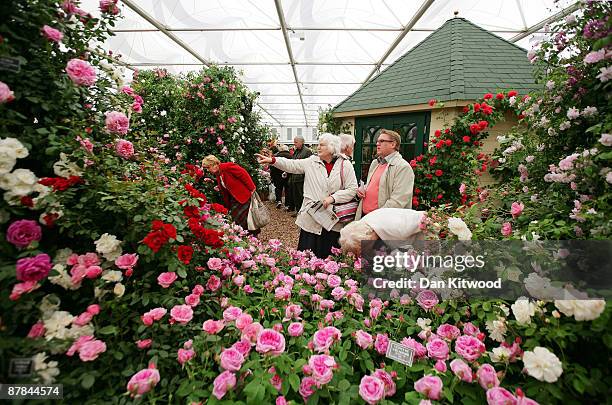 Beales Roses 31 Peter Beales Photos & High Res Pictures - Getty Images