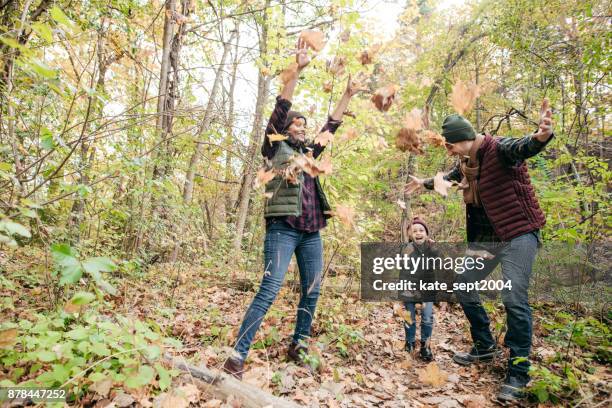 fall finally here - canada leaf stock pictures, royalty-free photos & images