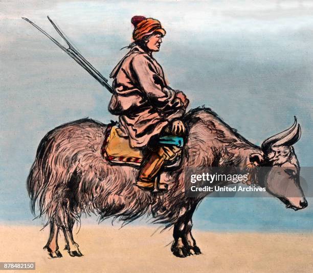Thief Riding Sheep 331 Cattle Thief Stock Photos, High-Res Pictures, and Images - Getty Images