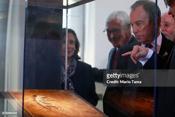 New York Mayor Michael Bloomberg view the 47 million year old fossilized remains of a primate at the American Museum of Natural History May 19, 2009...