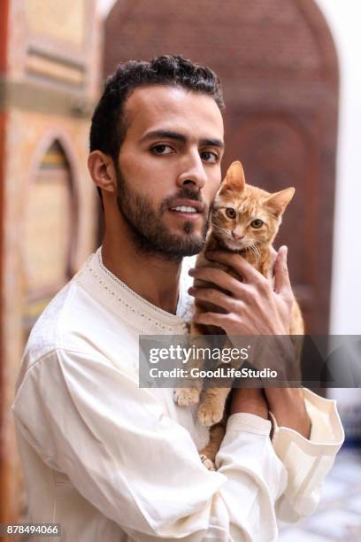 man holding a cat - baby cat stock pictures, royalty-free photos & images