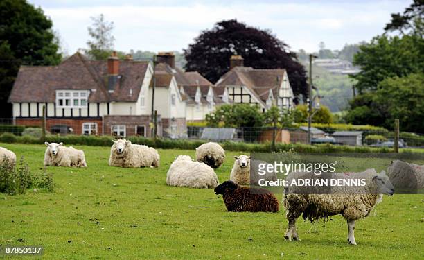 Sheep graze in an enclosure in the village of Linkenholt, near Andover in Hampshire May 19, 2009. The historic archetypal English village has been...