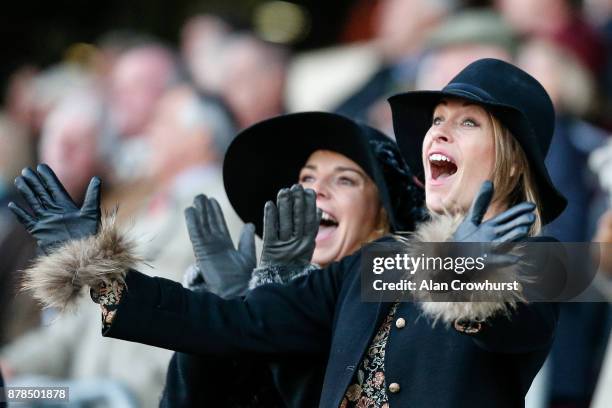 Racegoers cheer home a winner at Ascot racecourse on November 24, 2017 in Ascot, United Kingdom.