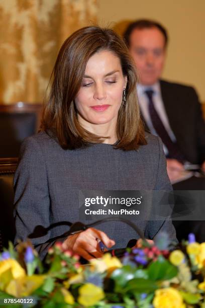 Queen Letizia of Spain attends a meeting at the National Library on November 24, 2017 in Madrid, Spain.