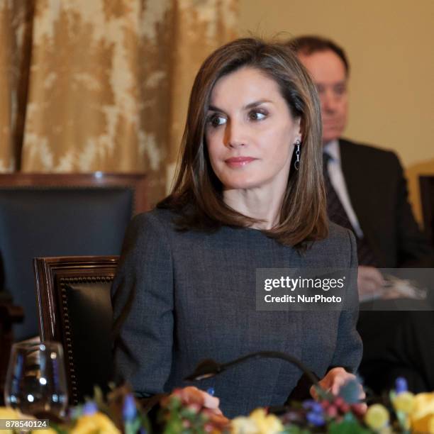 Queen Letizia of Spain attends a meeting at the National Library on November 24, 2017 in Madrid, Spain.