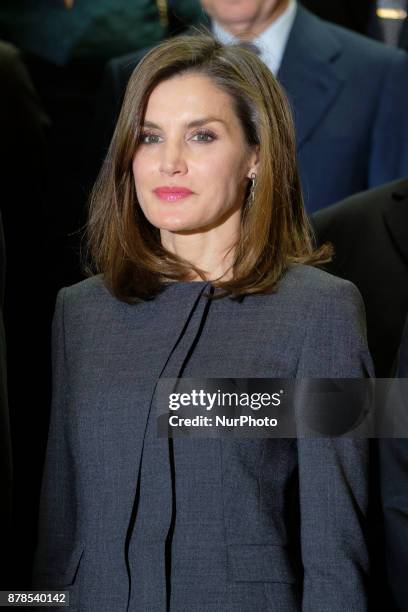 Queen Letizia of Spain attends a meeting at the National Library on November 24, 2017 in Madrid, Spain.