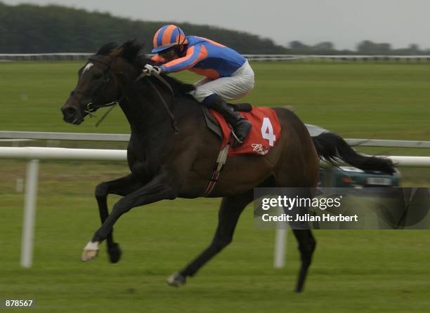 Curragh R Curragh Gallops Photos and Premium High Res Pictures - Getty Images