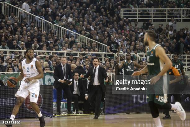 Xavi Pascual , head coach of Panathinaikos Superfoods reacts as he watches the Turkish Airlines Euroleague match between Panathinaikos Superfoods and...
