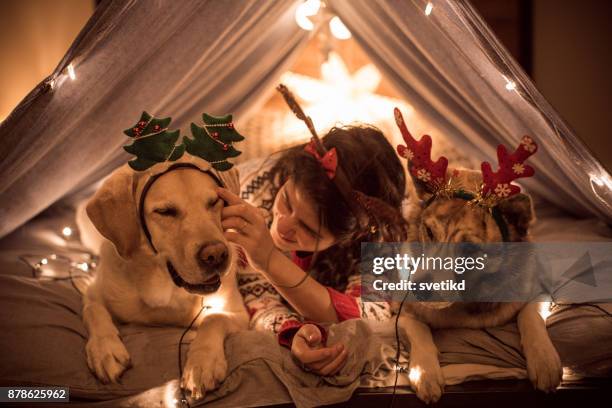 it's always an awesome time when we're together - holiday spirit stock pictures, royalty-free photos & images